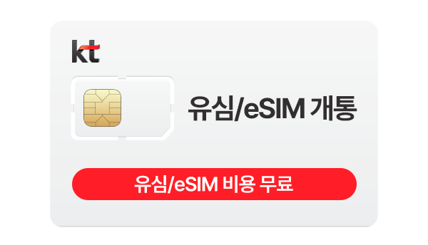 KT 유심단독